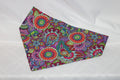 60's Rainbow Bandana