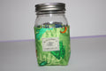 Reptile Jar Koozie