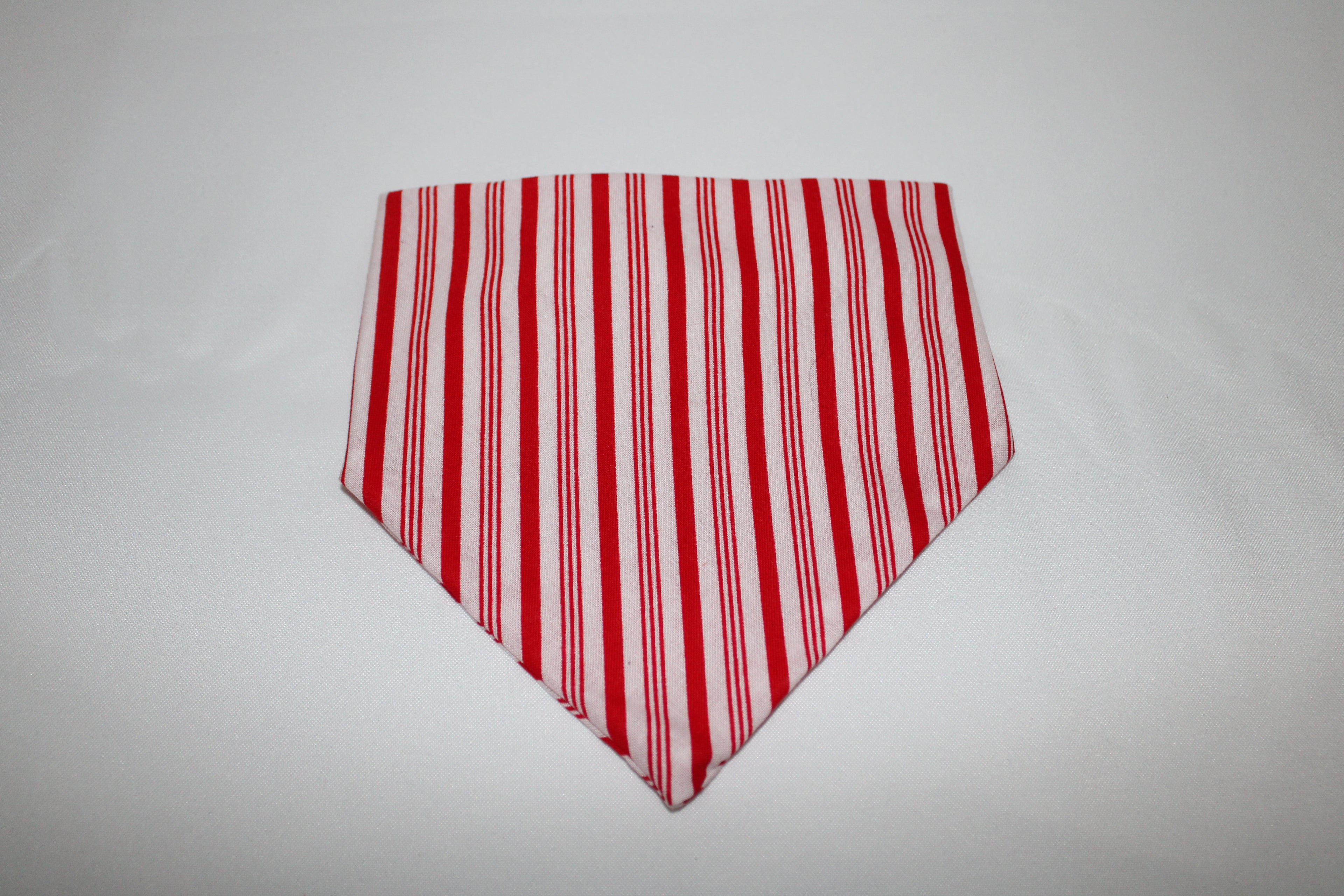 Peppermint dog bandana